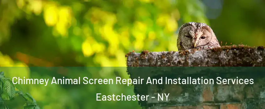 Chimney Animal Screen Repair And Installation Services Eastchester - NY