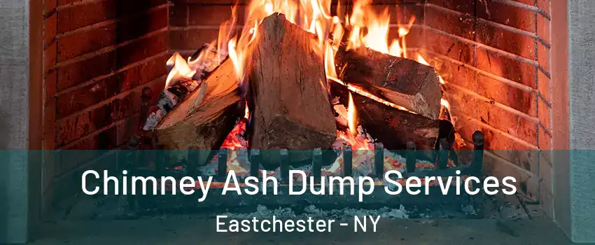  Chimney Ash Dump Services Eastchester - NY