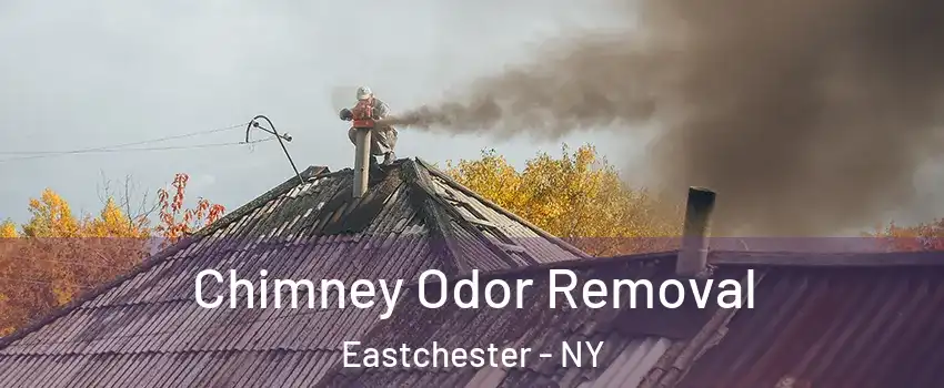  Chimney Odor Removal Eastchester - NY