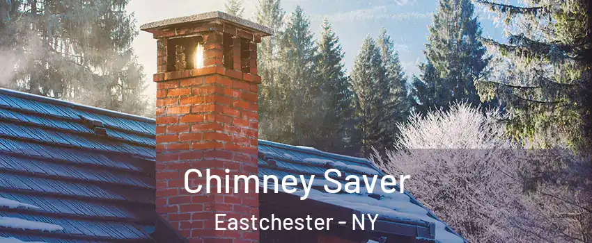  Chimney Saver Eastchester - NY