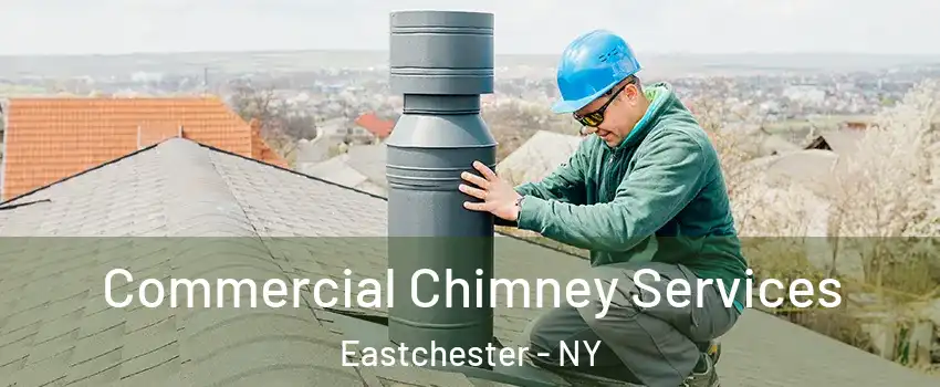  Commercial Chimney Services Eastchester - NY