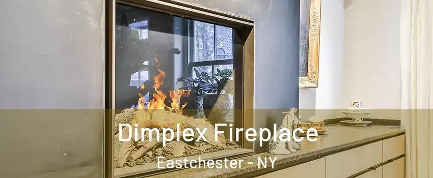  Dimplex Fireplace Eastchester - NY