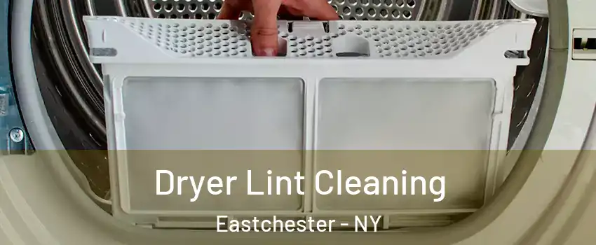  Dryer Lint Cleaning Eastchester - NY