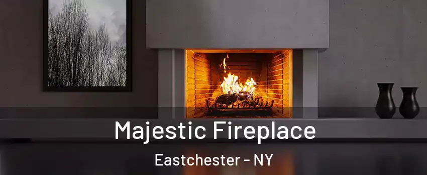  Majestic Fireplace Eastchester - NY