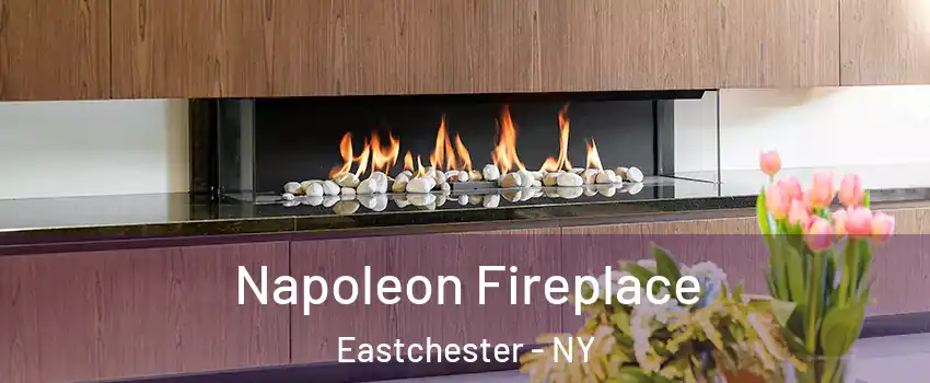  Napoleon Fireplace Eastchester - NY