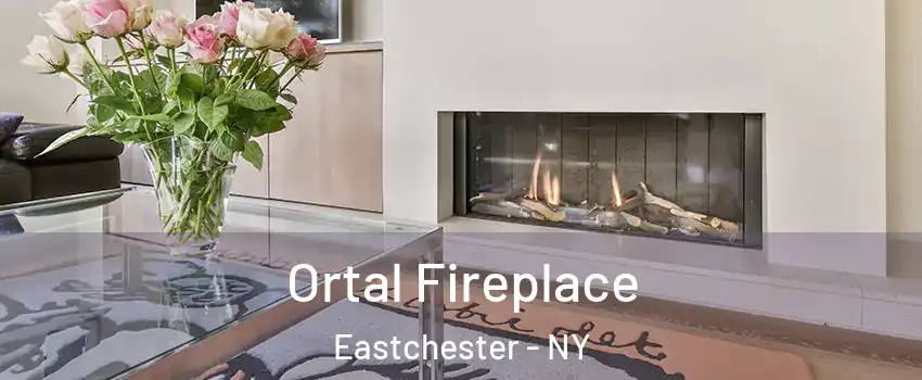  Ortal Fireplace Eastchester - NY