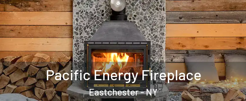  Pacific Energy Fireplace Eastchester - NY